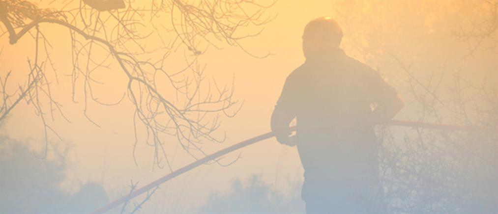 Πυρκαγιά στην Ιερά Μονή Αγάθωνος στη Φθιώτιδα