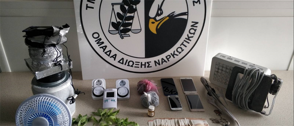 Η “Minnie” ανίχνευσε εργαστήριο κάνναβης σε σοφίτα