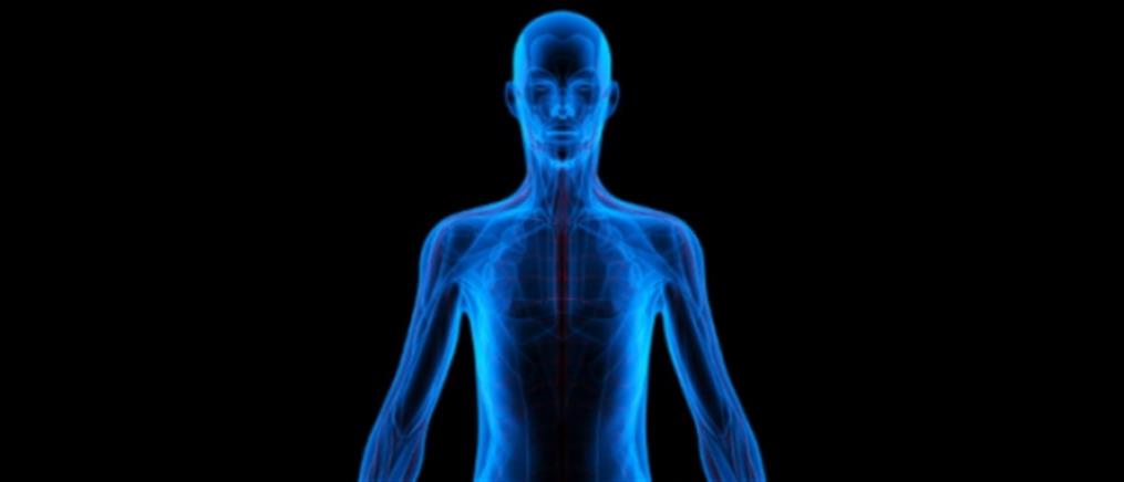 Ανακαλύφθηκε άγνωστο όργανο στο ανθρώπινο σώμα
