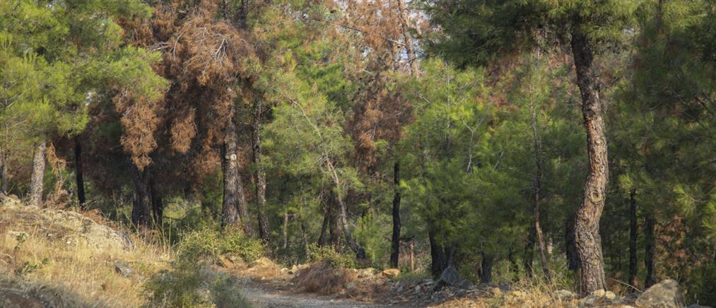 Θεσσαλονίκη: Εντοπίστηκε οξειδωμένο βλήμα στο Σέιχ Σου