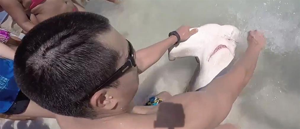 Βούτηξαν στην θάλασσα για να σώσουν ετοιμοθάνατο καρχαρία! (βίντεο)