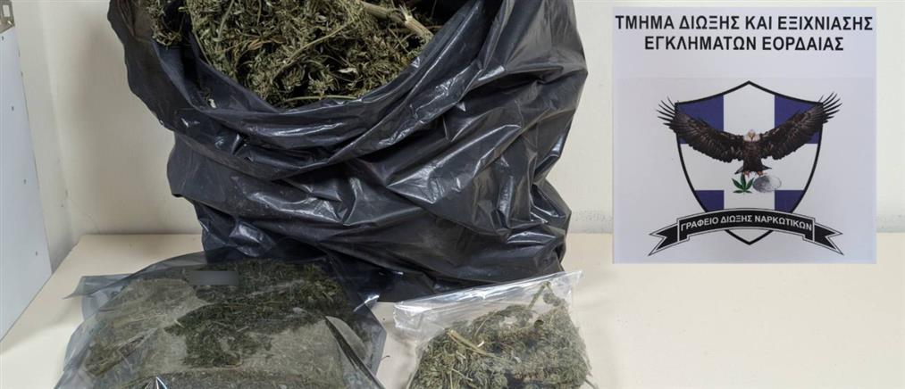 Πτολεμαϊδα: Πώς ο σκύλος “Bongo”… “ξετρύπωσε” σημαντική ποσότητα ναρκωτικών σε κτήμα 60χρονου