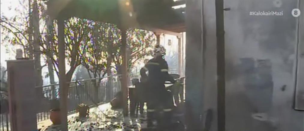 Φωτιά στην Αχαΐα - Δήμαρχος Ερυμάνθου στον ΑΝΤ1: Κάηκαν σπίτια και ποιμνιοστάσια (βίντεο)