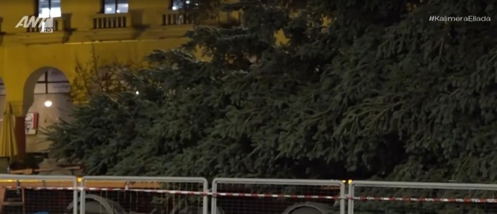 Θεσσαλονίκη: Με συνοδεία περιπολικού έφτασε το Χριστουγεννιάτικο Δέντρο