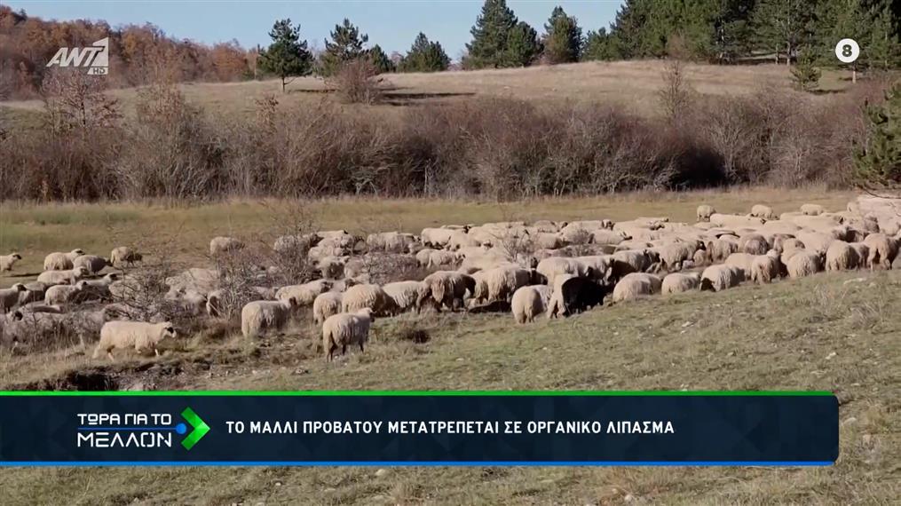 Κροατία: Λίπασμα από απόβλητα