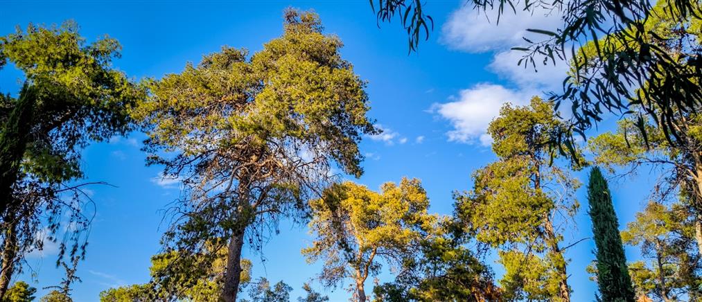 Τι καιρό θα κάνει την Πέμπτη