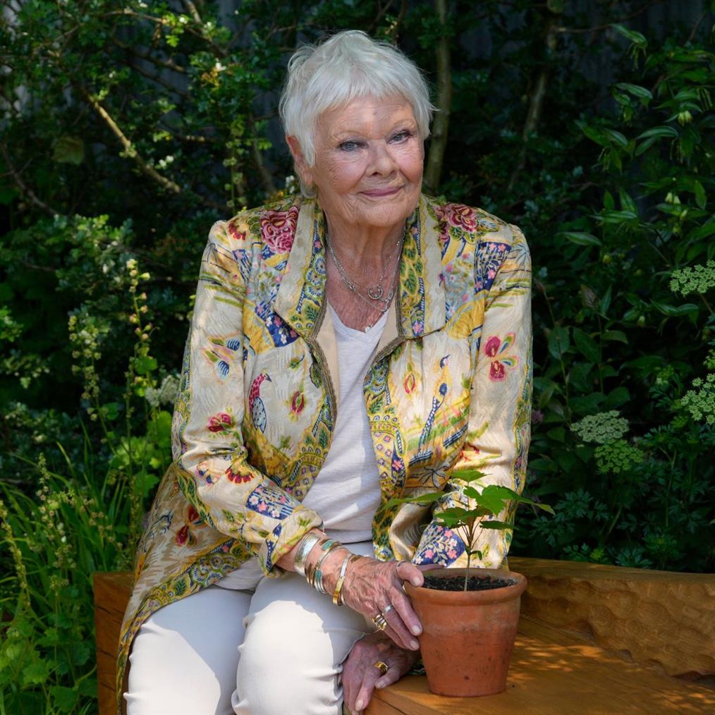 Τζούντι Ντεντς: Μιλά για την ασθένειά της - "Δεν μπορώ να βγω μόνη μου"