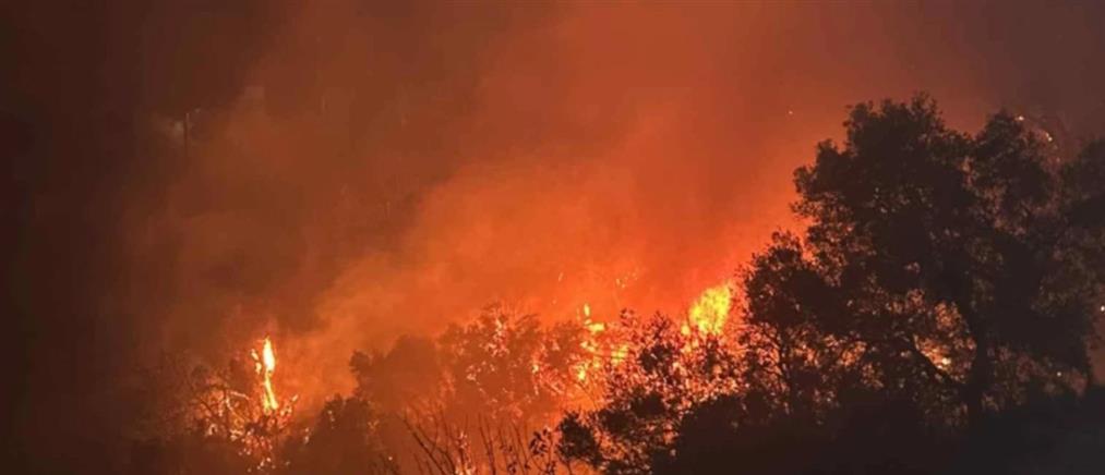 Χανιά: Σε εξέλιξη μεγάλη φωτιά στην Κίσσαμο - Ισχυροί άνεμοι στην περιοχή (εικόνες)