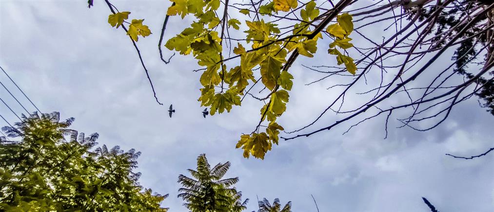 Τι καιρό θα κάνει την Πέμπτη