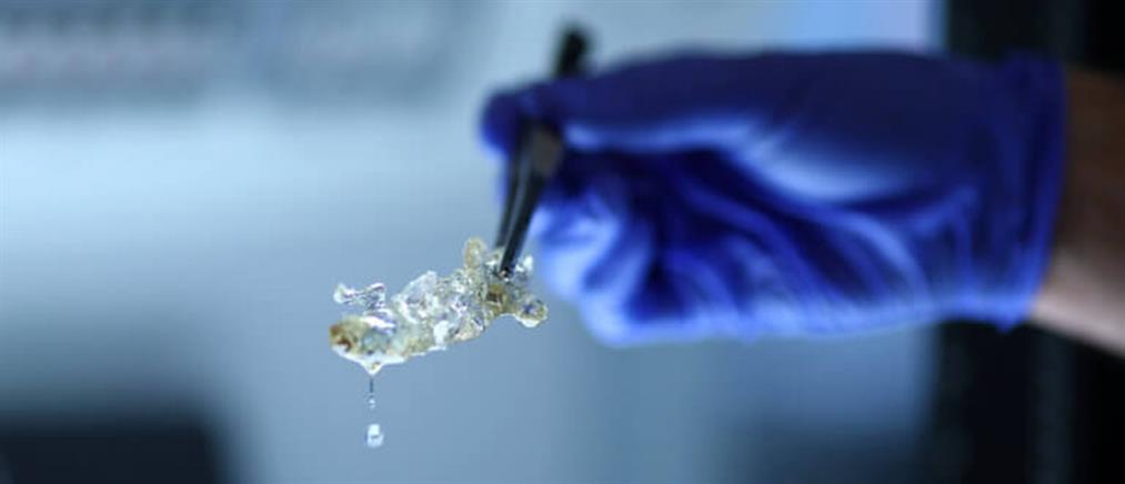 Επανάσταση στην βιοϊατρική: Διαφανή ανθρώπινα όργανα δια χειρός επιστημόνων (εικόνες)