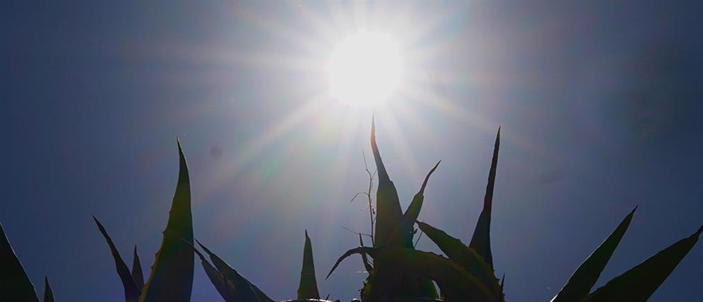 Τι καιρό θα κάνει σήμερα Σάββατο