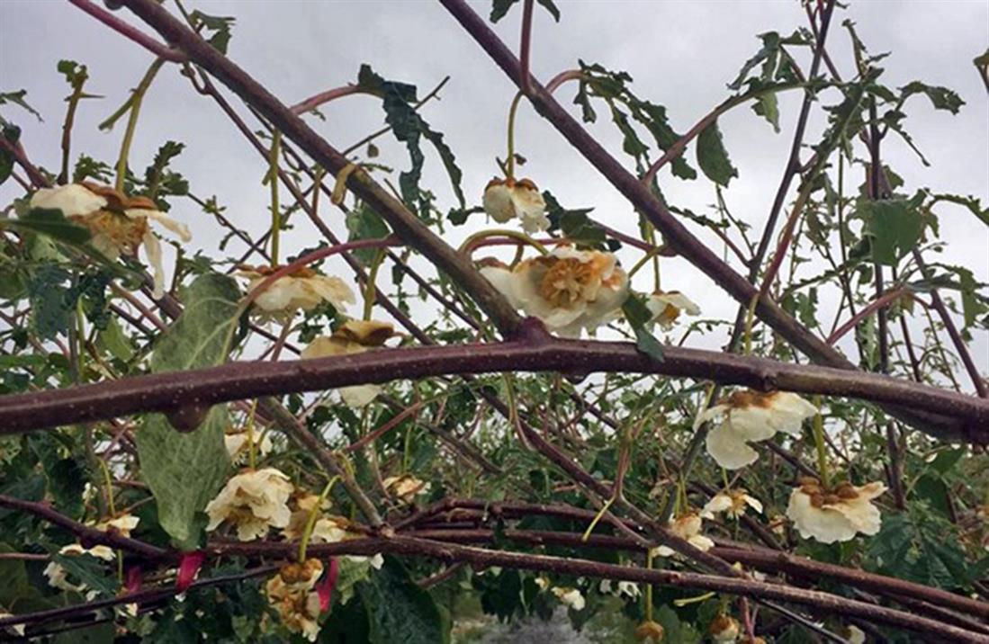 Καβάλα - χαλάζι - κακοκαιρία