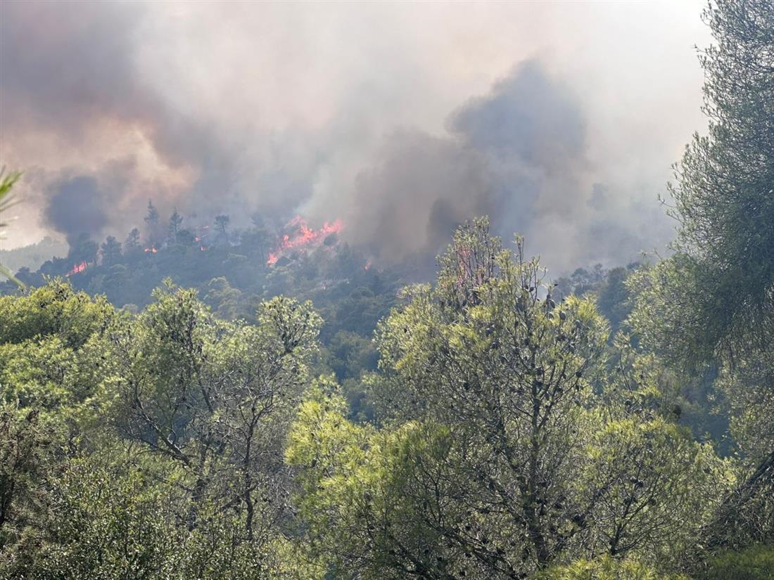 Φωτιά - Σοφικό Φωτιά - Σοφικό