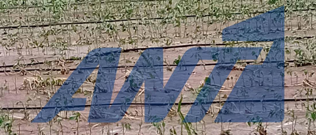 Κακοκαιρία - Θεσσαλικός - Κάμπος Κακοκαιρία - Θεσσαλικός - Κάμπος