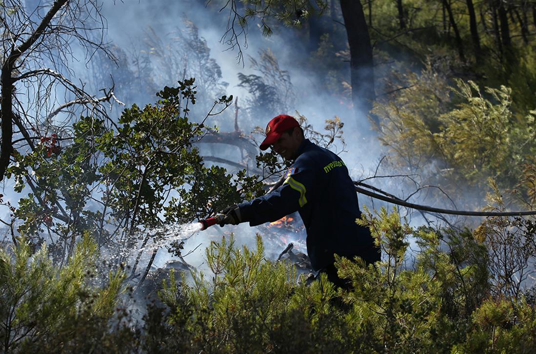 ΦΩΤΙΑ - ΝΕΑ ΜΑΚΡΗ