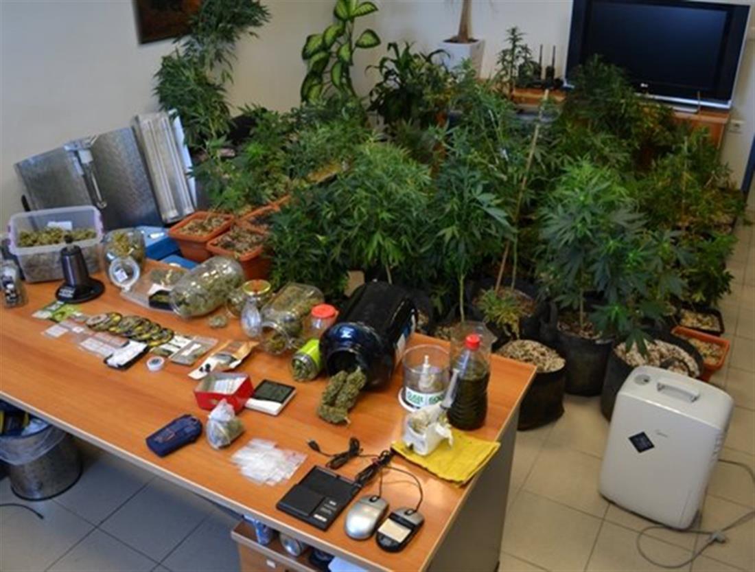 Ηράκλειο - Κρήτη - χασίς - ναρκωτικά - κάνναβη