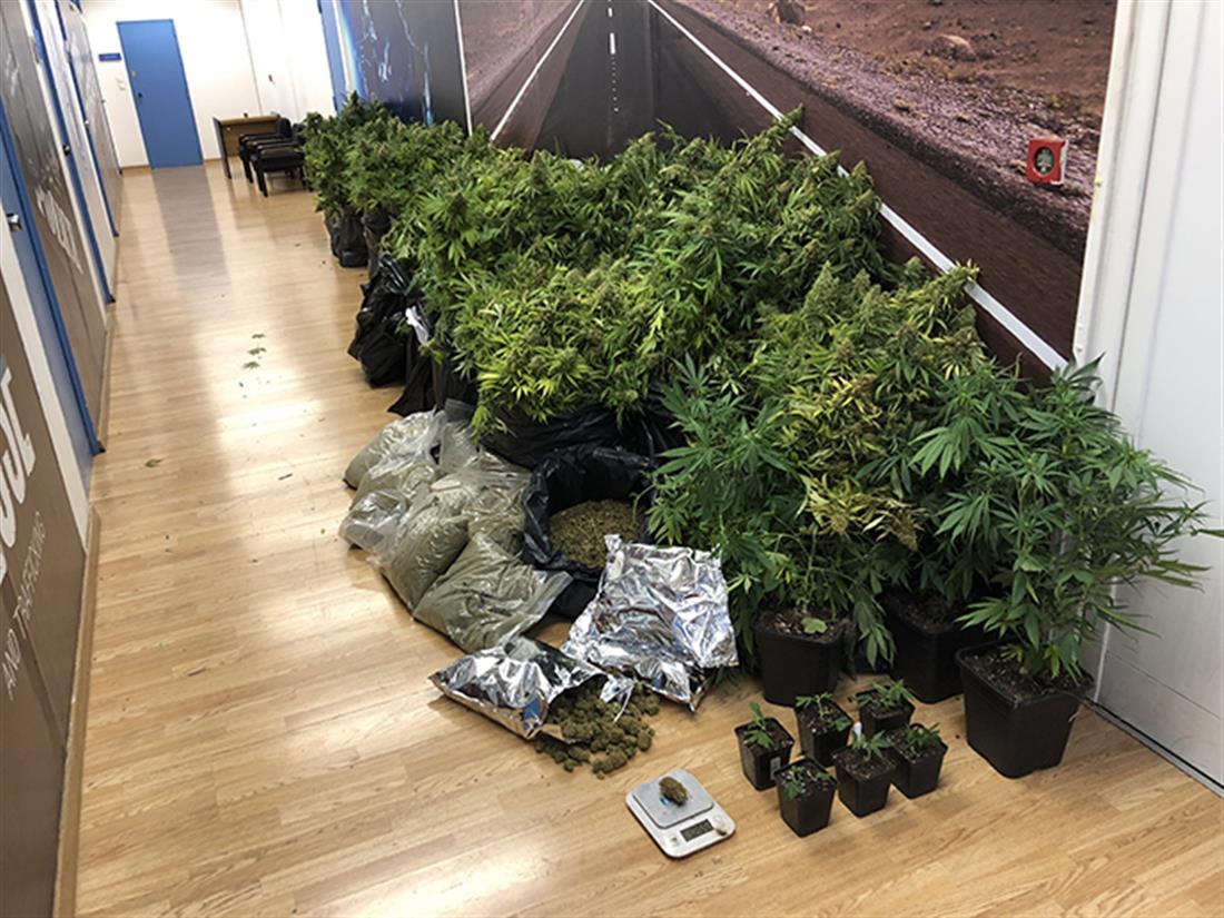 εργαστήριο -  καλλιέργεια - δενδρύλλια - κάνναβη - οικία - Καλλιθέα