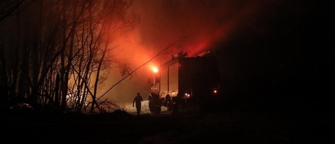 Φωτιά - Αχαΐα Φωτιά - Αχαΐα