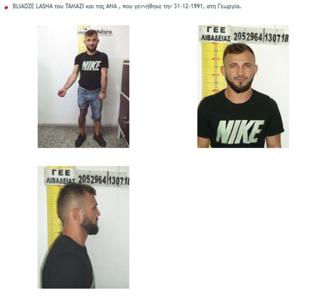 ΖΙΝΤΙΡΙΔΗ Ταριέλ - BLIADZE LASHA - κλοπές - Βοιωτία - Ευβοία - Φθιώτιδα - Αχαΐα ΖΙΝΤΙΡΙΔΗ Ταριέλ - BLIADZE LASHA - κλοπές - Βοιωτία - Ευβοία - Φθιώτιδα - Αχαΐα
