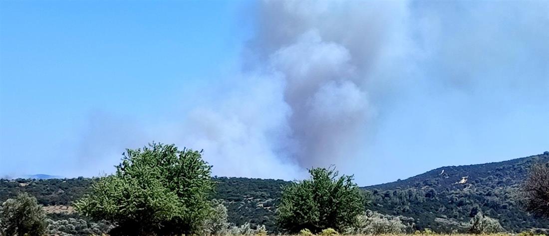 φωτια αργολιδα