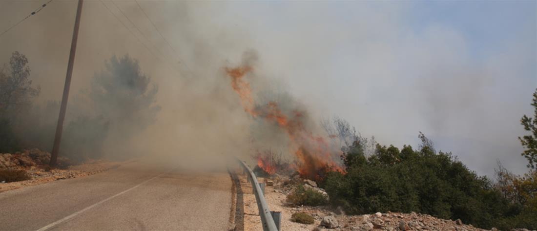 ΦΩΤΙΑ ΣΕ ΒΙΛΙΑ ΚΑΙ ΚΕΡΑΤΕΑ