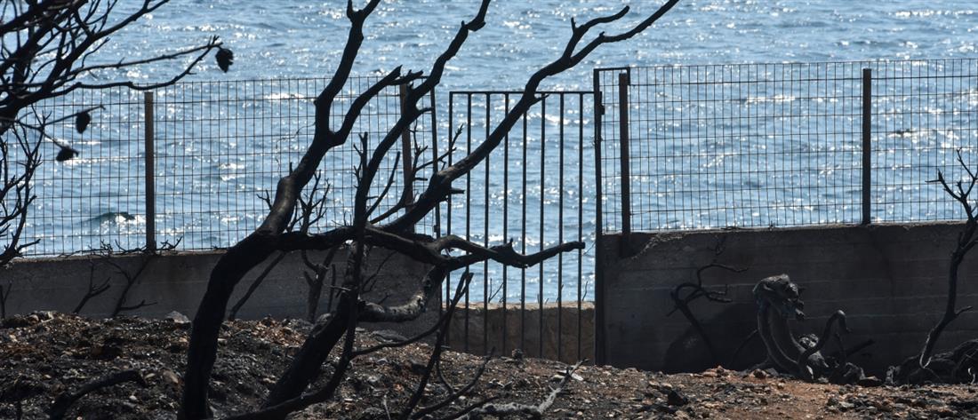 Φονική πυρκαγιά - Μάτι - Νέος Βουτζάς Φονική πυρκαγιά - Μάτι - Νέος Βουτζάς