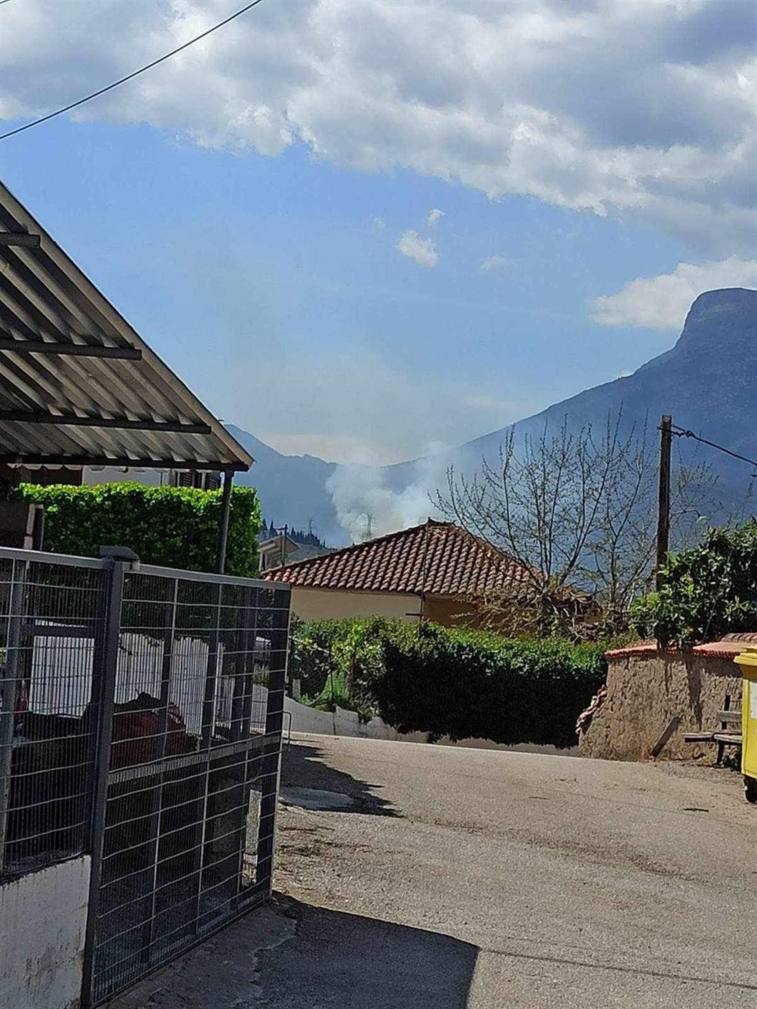 Φωτιά - Βοιωτία