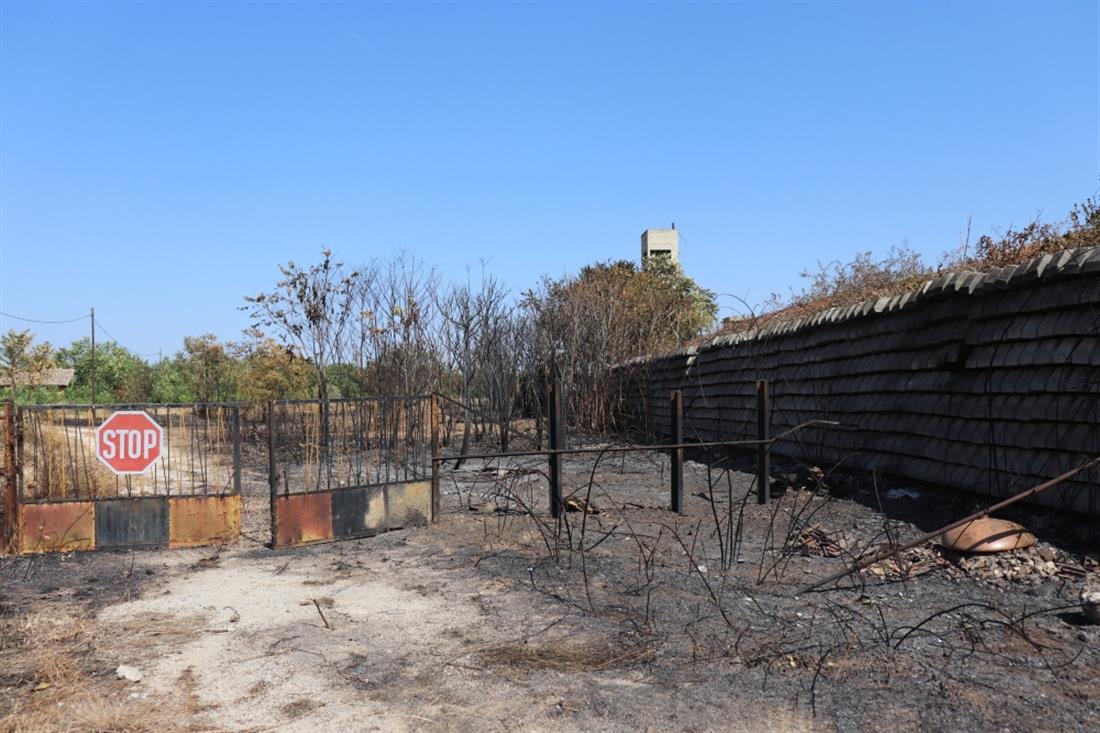 Αλεξανδρούπολη - φωτιά - Γαλλικός Σταθμός Αλεξανδρούπολη - φωτιά - Γαλλικός Σταθμός