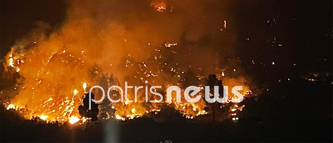 Πυρκαγιά - Ηλεία