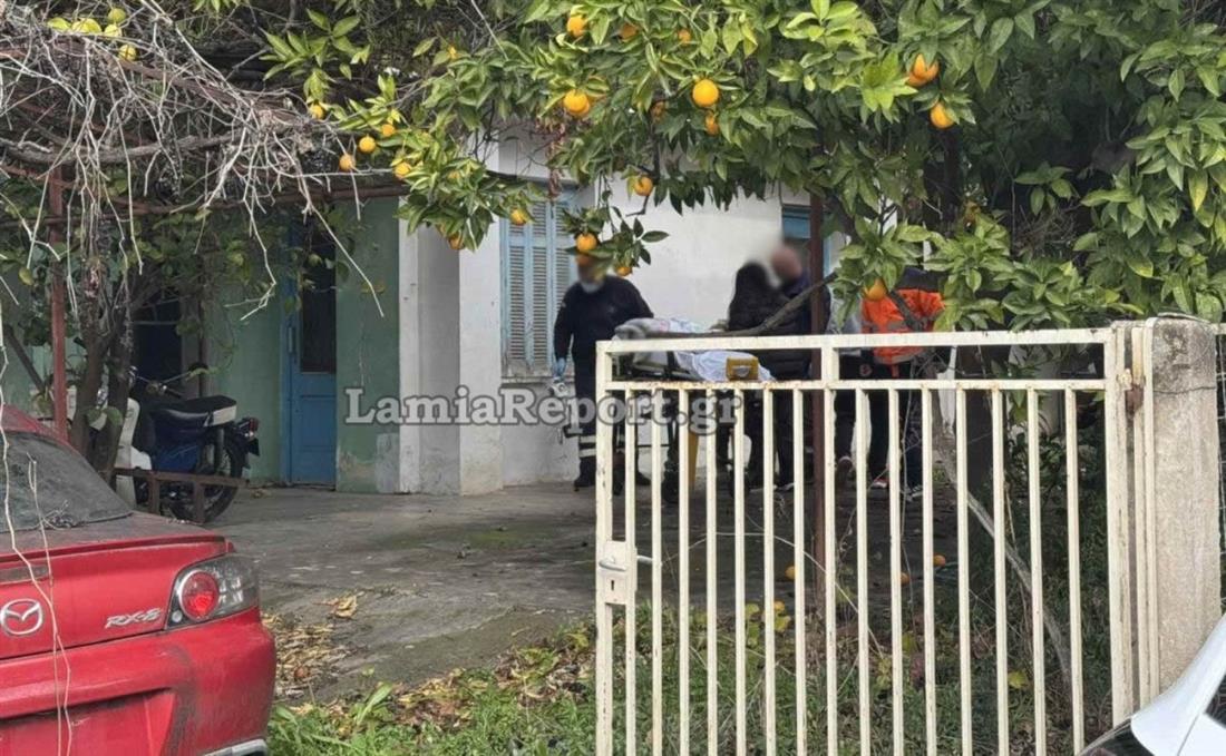 Λαμία - φωτιά