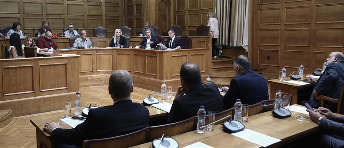 Βουλή - επιτροπή - Αγοραστός