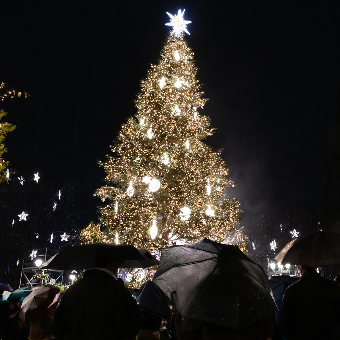 Χριστουγεννιάτικο δέντρο - Σύνταγμα Χριστουγεννιάτικο δέντρο - Σύνταγμα