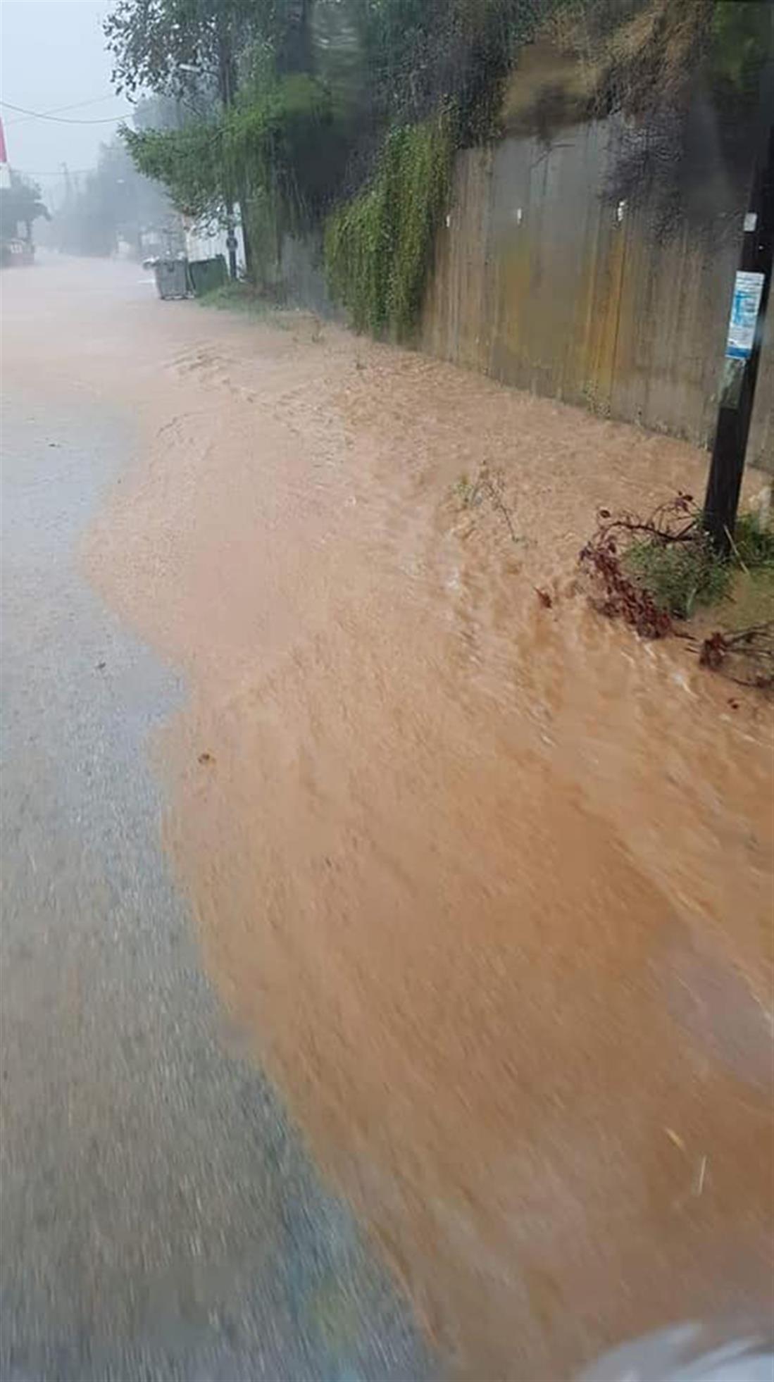 Σκιάθος - Ζορμπάς