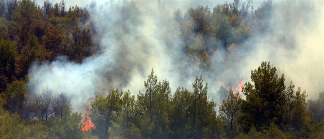 ΦΩΤΙΑ ΣΕ ΒΙΛΙΑ ΚΑΙ ΚΕΡΑΤΕΑ