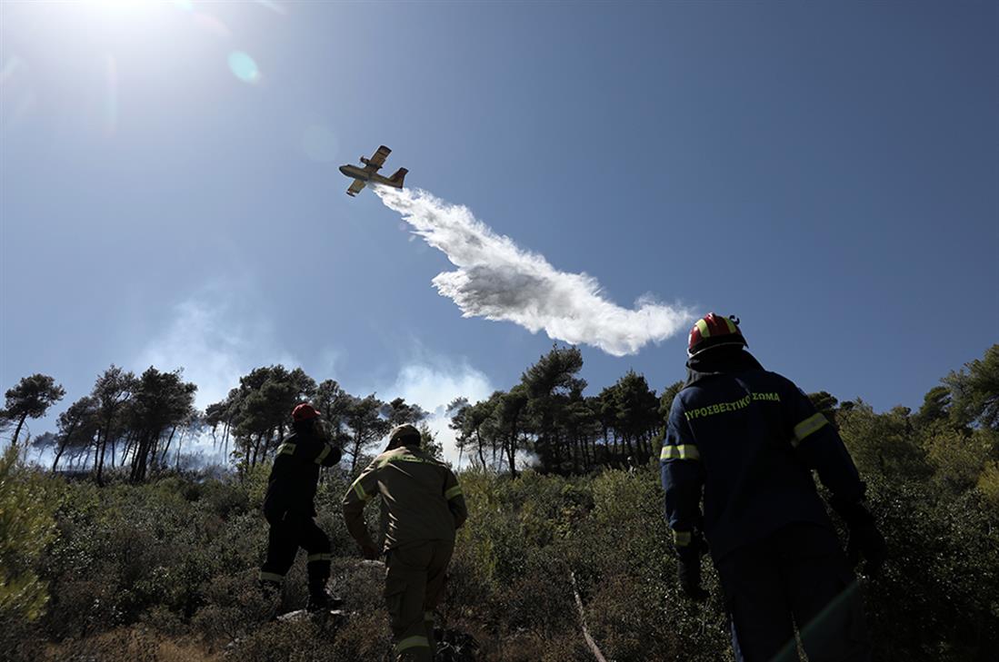 ΦΩΤΙΑ - ΝΕΑ ΜΑΚΡΗ