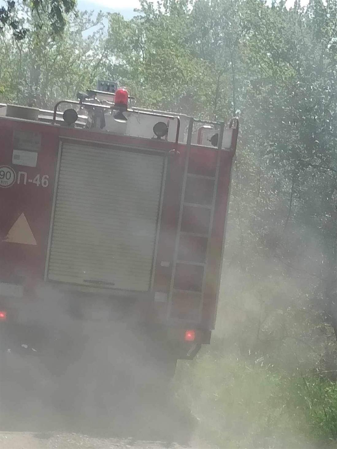 Φωτιά - Βοιωτία