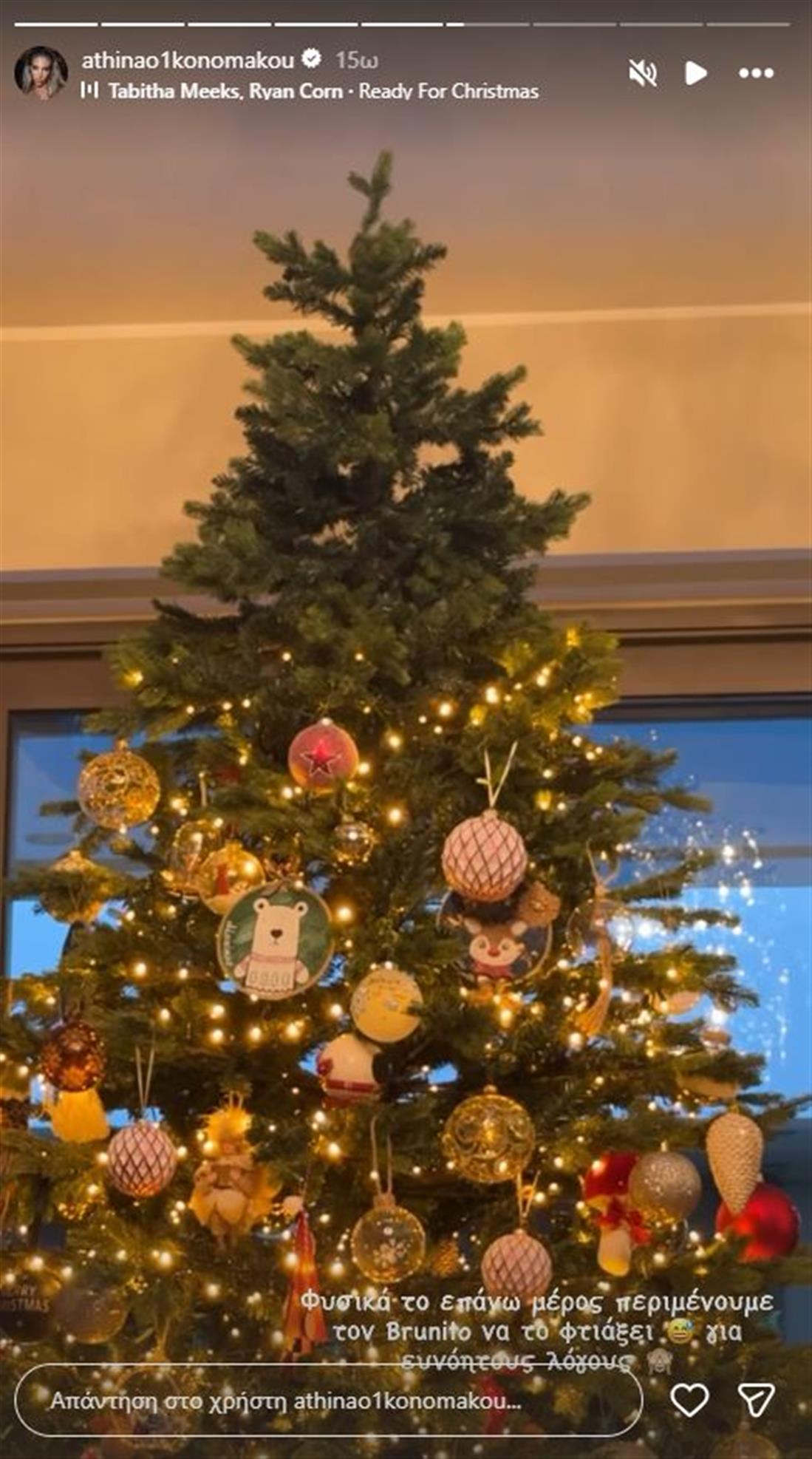 οικονομάκου