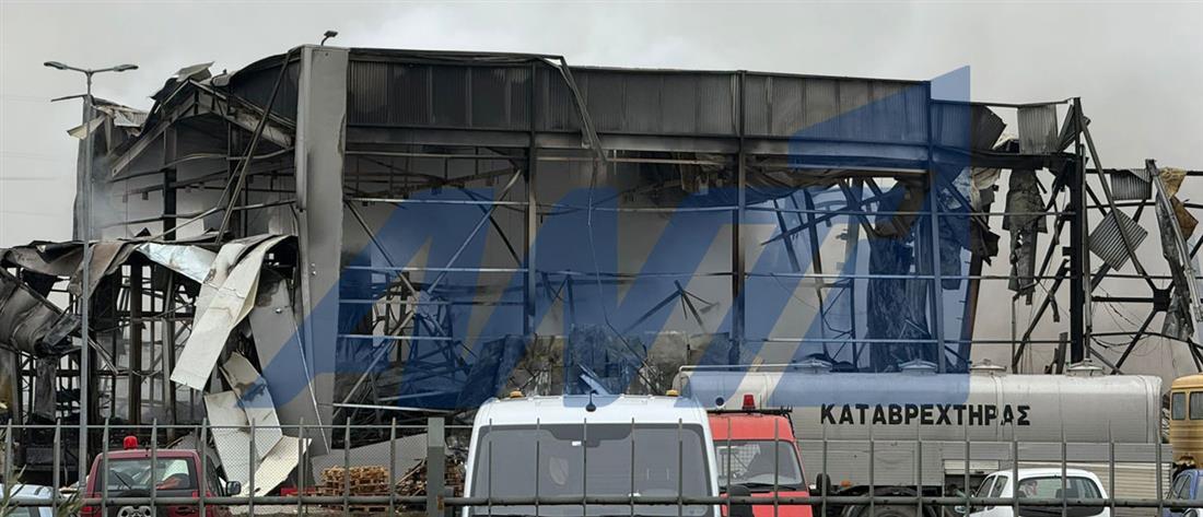 Τρίκαλα - Βιολάντα