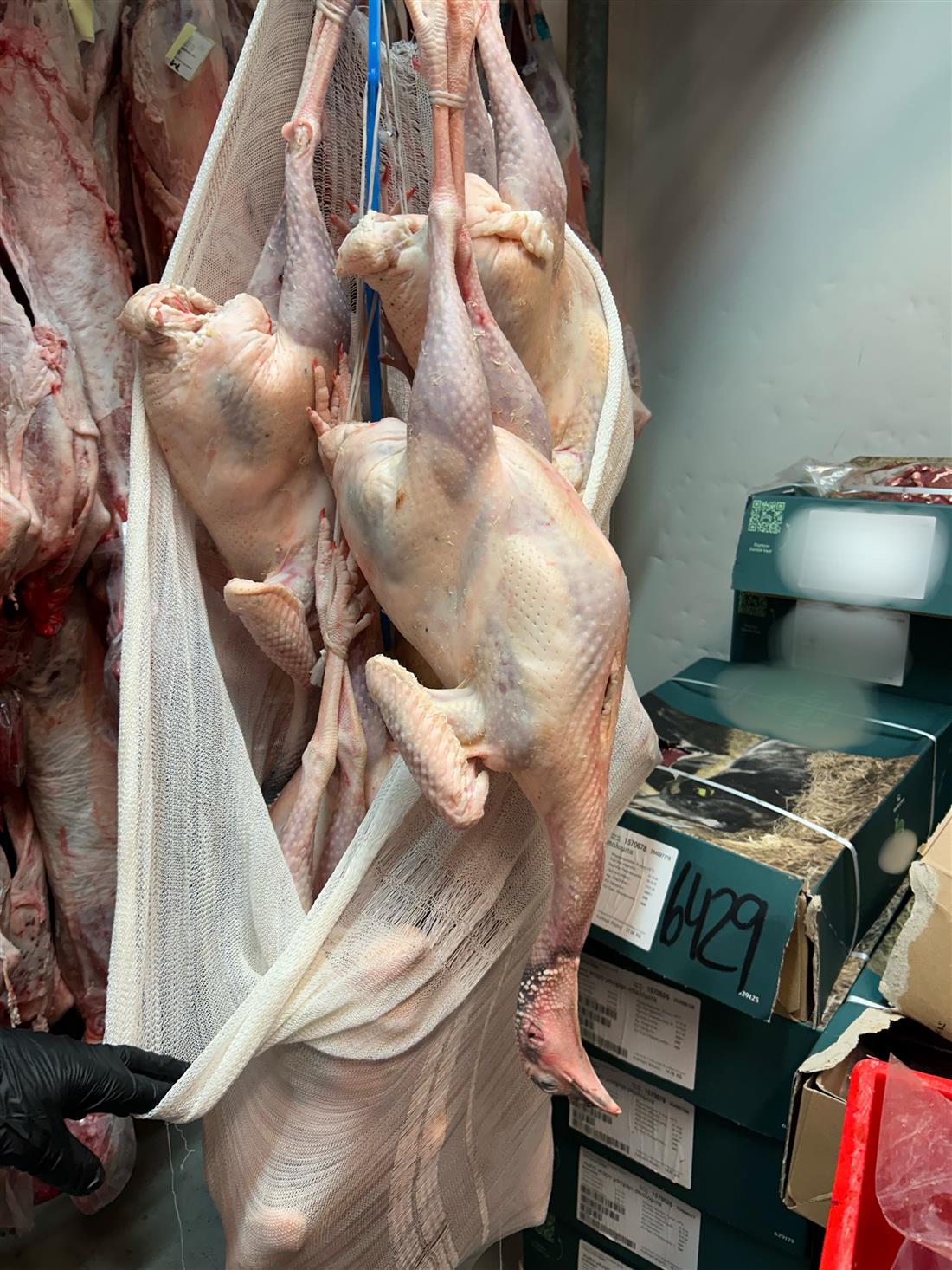 αλλοιωμένα τρόφιμα Αττική αλλοιωμένα τρόφιμα Αττική