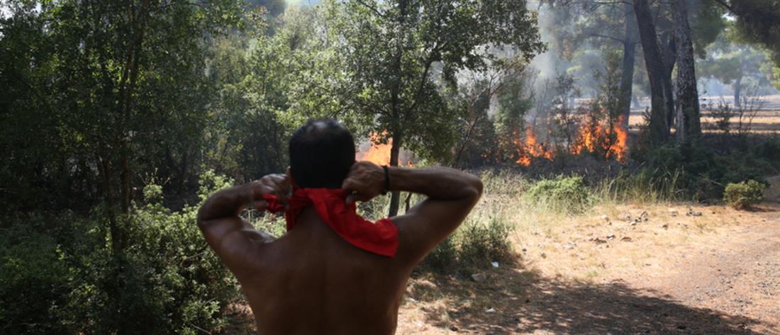 ΦΩΤΙΑ ΣΕ ΒΙΛΙΑ ΚΑΙ ΚΕΡΑΤΕΑ