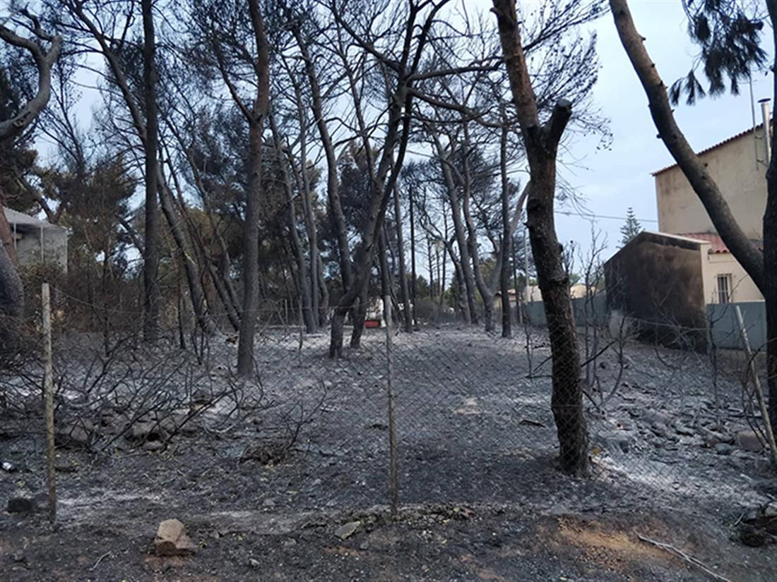 Μάτι Μαραθώνα - πυρκαγιά