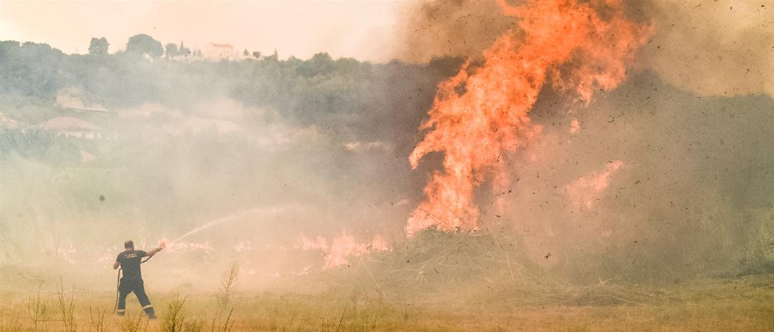 Φωτιά - Ηλεία