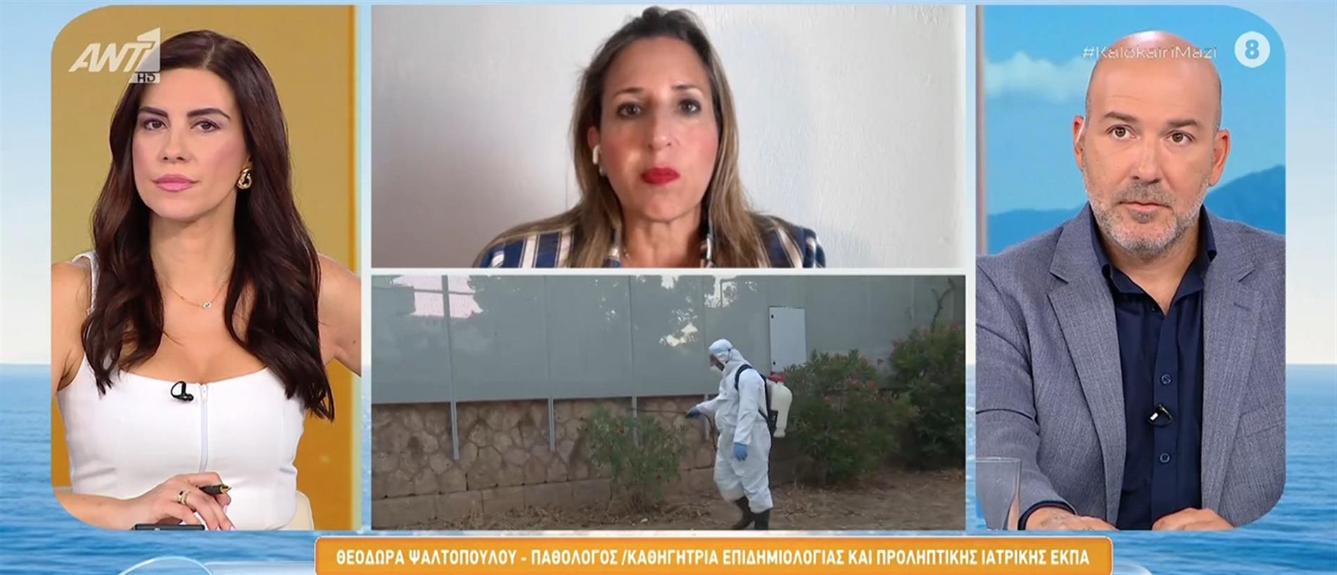 Ψαλτοπούλου  για το ιό του δυτικού Νείλου: Σταδιακά ίσως γίνεται ένα πανευρωπαϊκό πρόβλημα