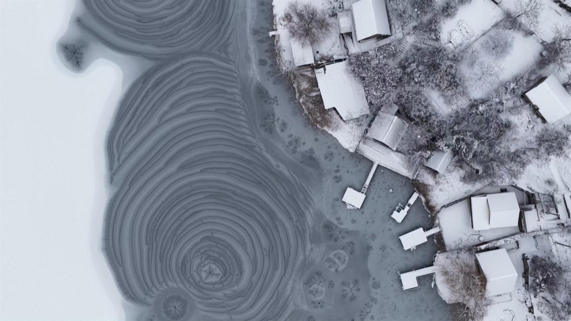 Στα λευκά η Ουγγαρία: Παγωμένες λίμνες και πολικές αρκούδες στο χιόνι