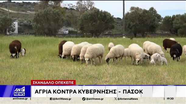 Σκάνδαλο ΟΠΕΚΕΠΕ: Άγρια κόντρα Κυβέρνησης - ΠΑΣΟΚ