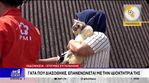 Ινδονησία: Στιγμές συγκίνησης για γάτα που διασώθηκε και επανενώνεται με την ιδιοκτήτρια της