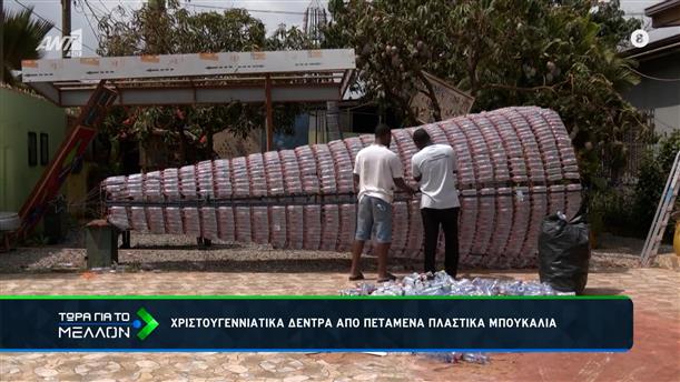 Χριστουγεννιάτικα δέντρα από μπουκάλια