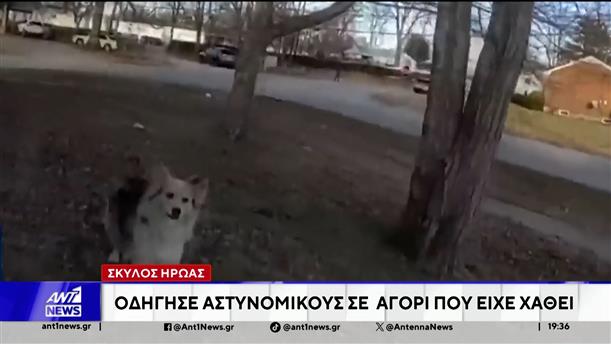 ΗΠΑ: Σκύλος οδήγησε τους αστυνομικούς σε ένα αγόρι που είχε χαθεί