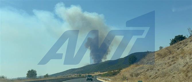 Θεσσαλονίκη: Πυρκαγιά στη Μεγάλη Βόλβη (βίντεο)