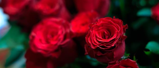 Εορτολόγιο: Ποιοι γιορτάζουν σήμερα 1η Δεκεμβρίου